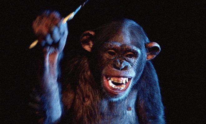 HORROR 101 with Dr. AC: PHENOMENA (1985) Blu-ray review