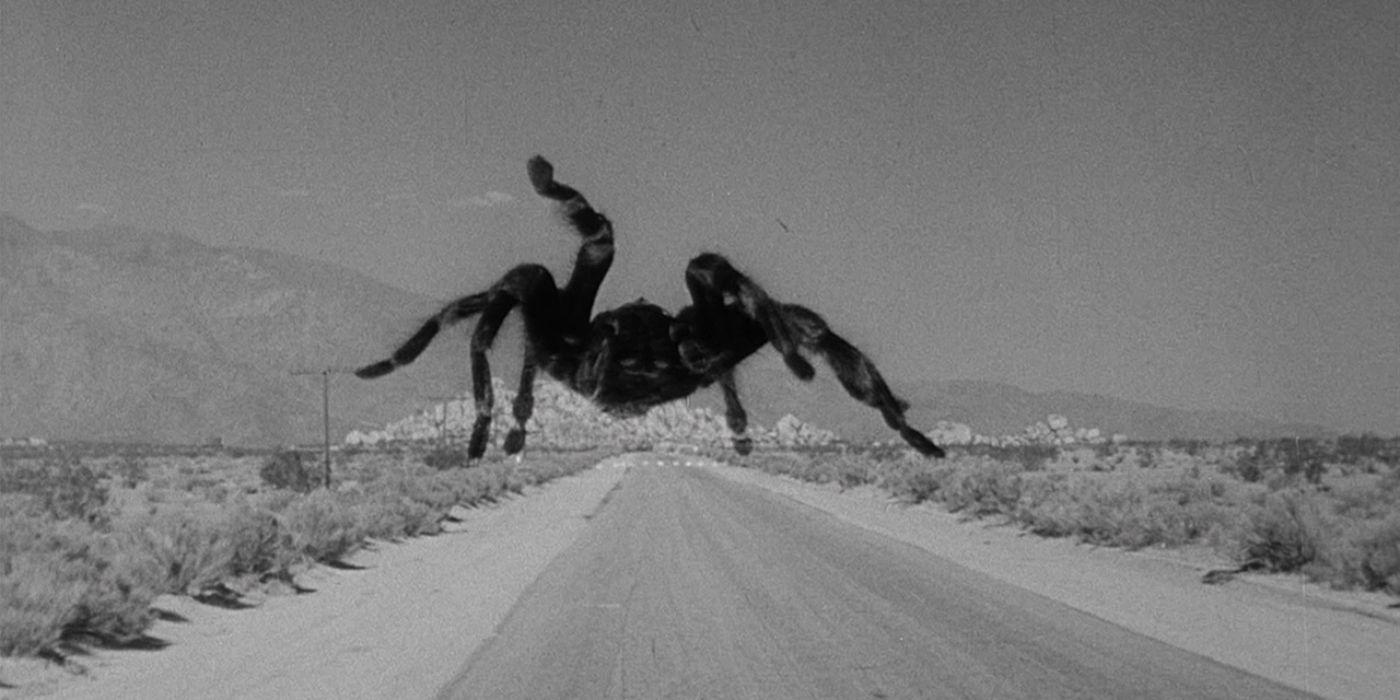 The 11 Scariest Horror Films Featuring Spiders & Insects
