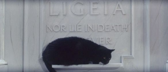 CAT OF THE DAY 079: THE TOMB OF LIGEIA | CATS ON FILM
