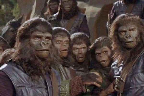 Great Apes, Lesser Representation