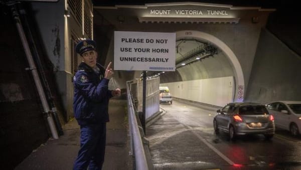 The Dark Underbelly of Mt Victoria